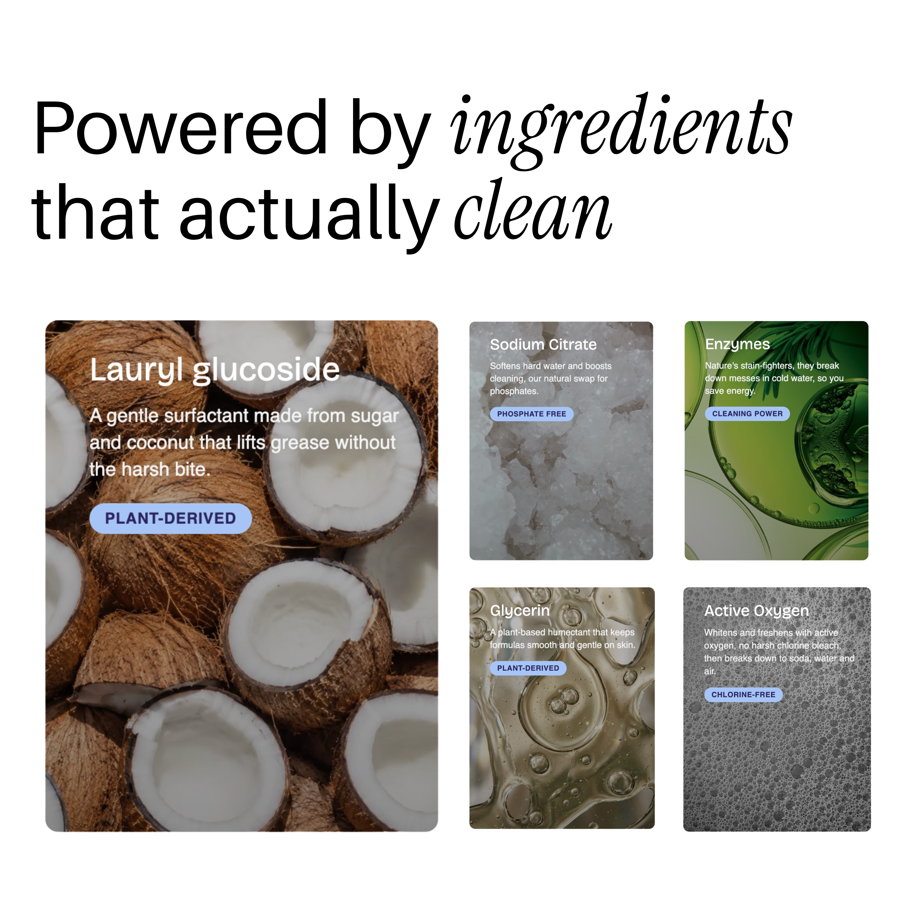 Whole Home Eco Bundle